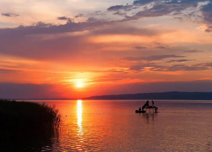 Case de vacanță In 19529